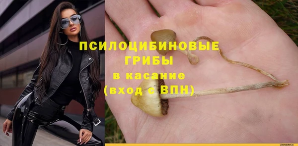 бутират Новозыбков