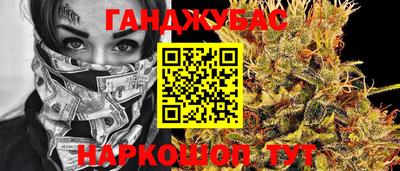 гашик Берёзовский