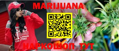 гашик Берёзовский