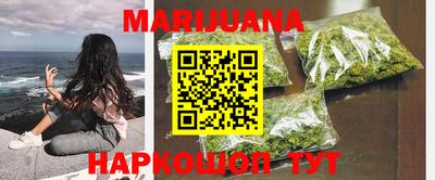 сатива Беслан