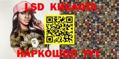 гашик Берёзовский