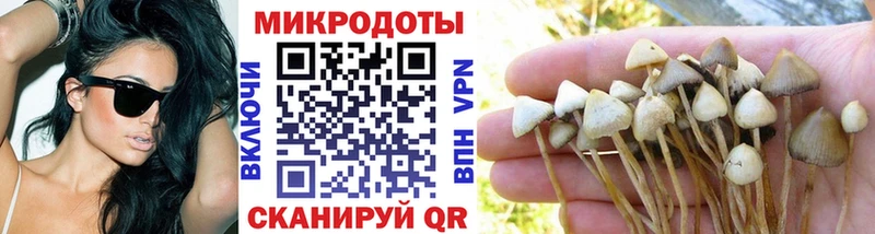 ссылка на мегу маркетплейс  Грозный  Галлюциногенные грибы MAGIC MUSHROOMS  где купить наркоту 