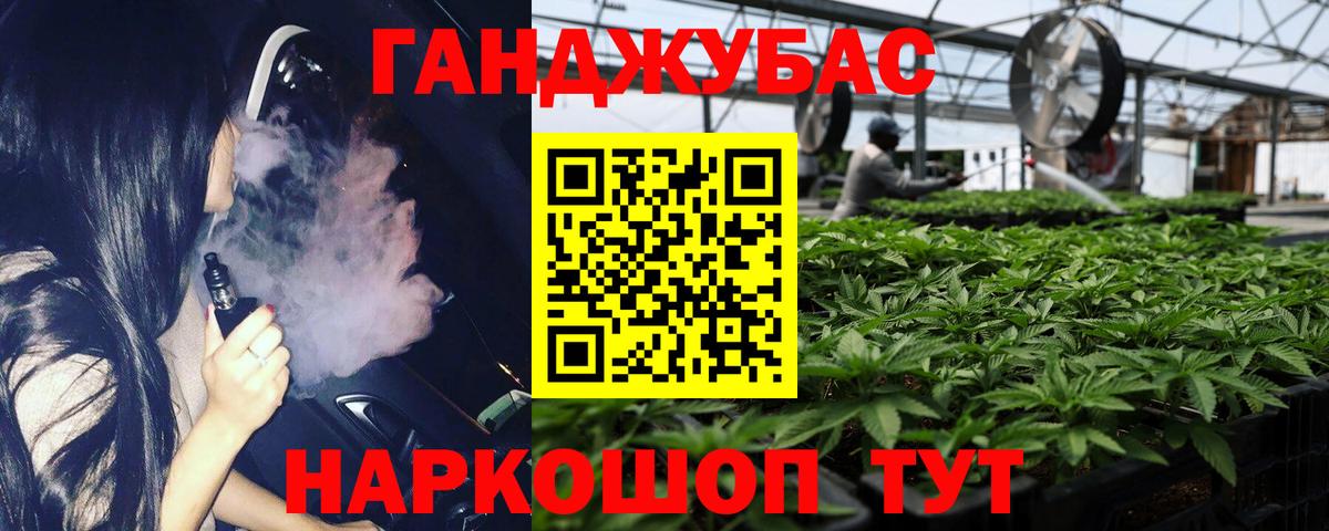 Шишки марихуана план Грозный